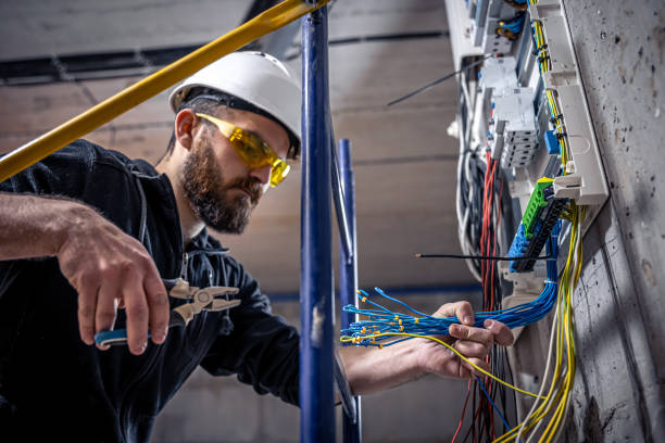 Best Electric Panel Repair  in Kealakekua, HI