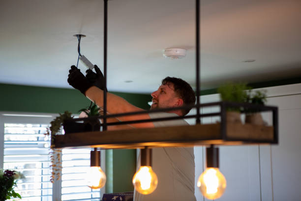 Best Licensed Electrician  in Kealakekua, HI